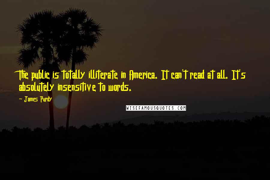 James Purdy Quotes: The public is totally illiterate in America. It can't read at all. It's absolutely insensitive to words.