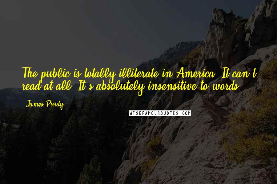 James Purdy Quotes: The public is totally illiterate in America. It can't read at all. It's absolutely insensitive to words.