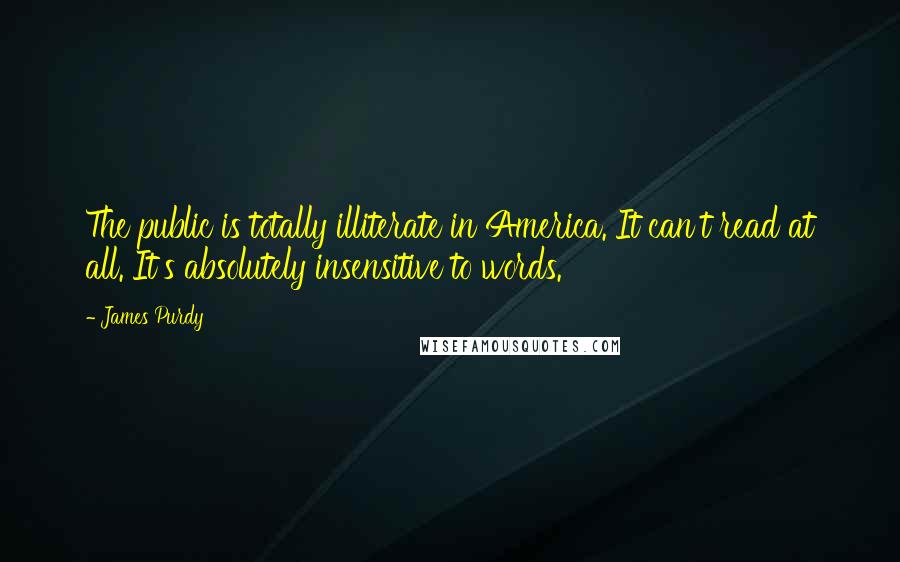 James Purdy Quotes: The public is totally illiterate in America. It can't read at all. It's absolutely insensitive to words.