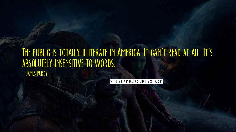 James Purdy Quotes: The public is totally illiterate in America. It can't read at all. It's absolutely insensitive to words.