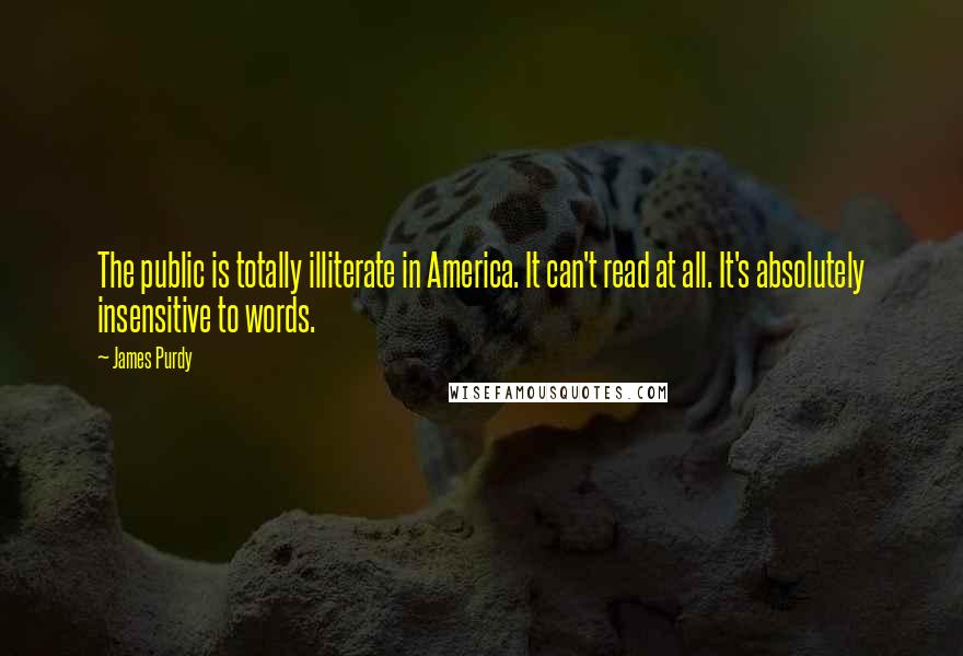 James Purdy Quotes: The public is totally illiterate in America. It can't read at all. It's absolutely insensitive to words.