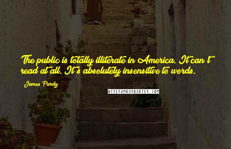 James Purdy Quotes: The public is totally illiterate in America. It can't read at all. It's absolutely insensitive to words.