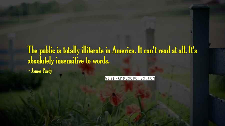 James Purdy Quotes: The public is totally illiterate in America. It can't read at all. It's absolutely insensitive to words.