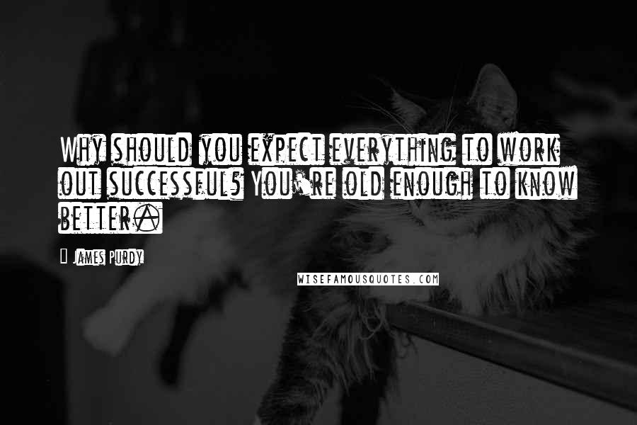 James Purdy Quotes: Why should you expect everything to work out successful? You're old enough to know better.