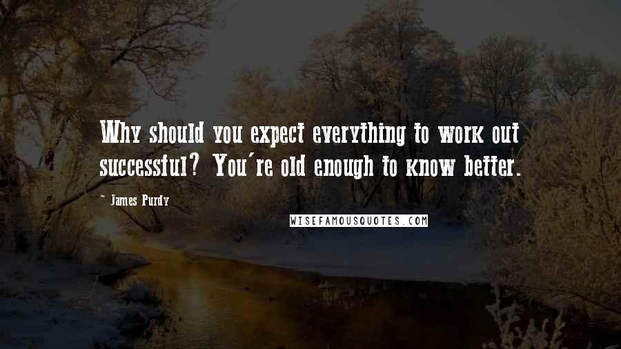 James Purdy Quotes: Why should you expect everything to work out successful? You're old enough to know better.