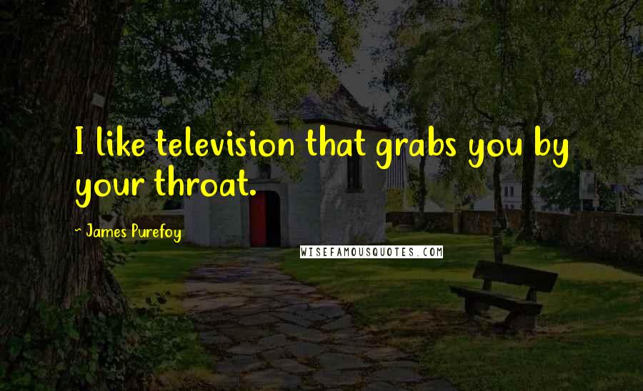 James Purefoy Quotes: I like television that grabs you by your throat.