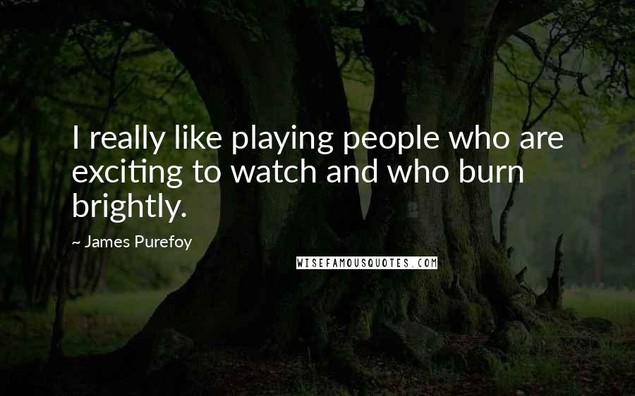 James Purefoy Quotes: I really like playing people who are exciting to watch and who burn brightly.