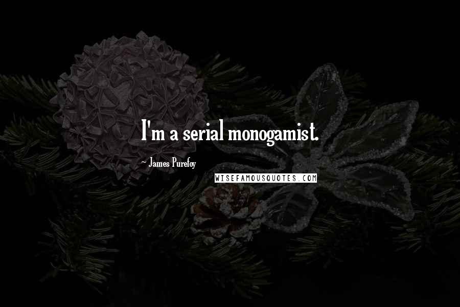 James Purefoy Quotes: I'm a serial monogamist.