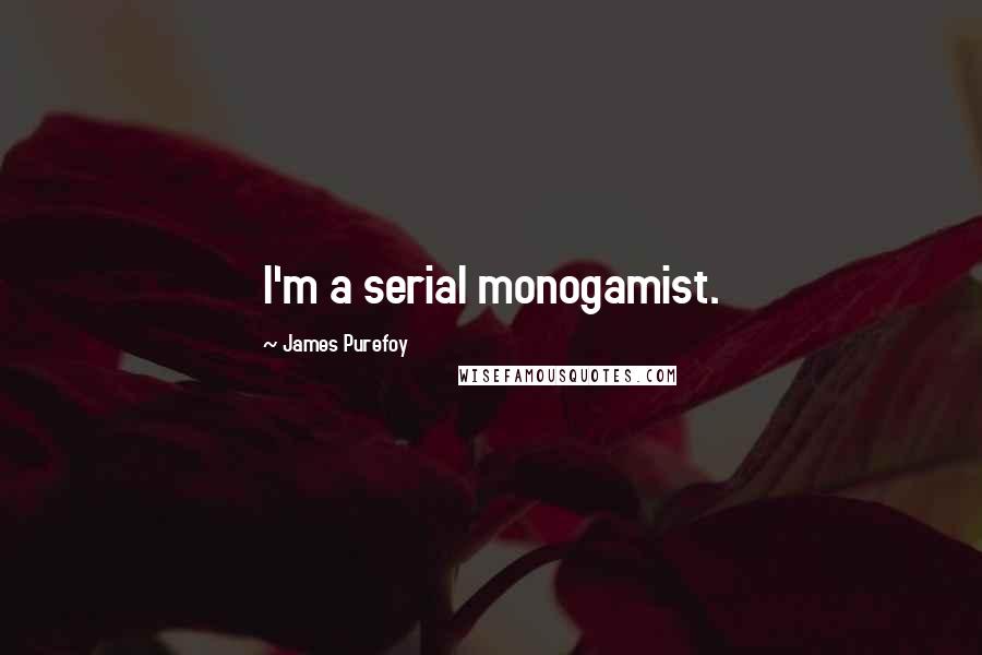 James Purefoy Quotes: I'm a serial monogamist.