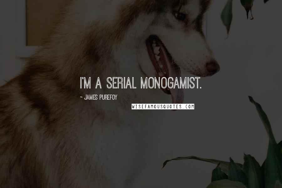 James Purefoy Quotes: I'm a serial monogamist.