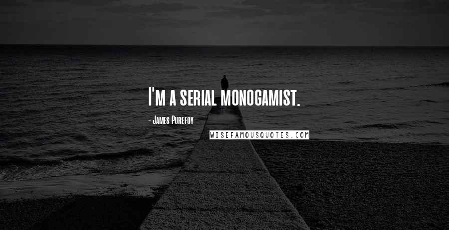 James Purefoy Quotes: I'm a serial monogamist.