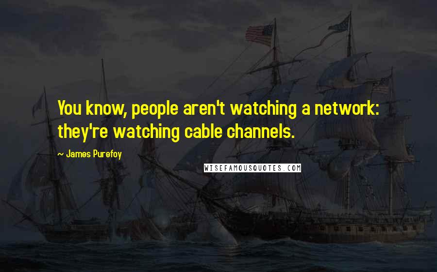 James Purefoy Quotes: You know, people aren't watching a network: they're watching cable channels.