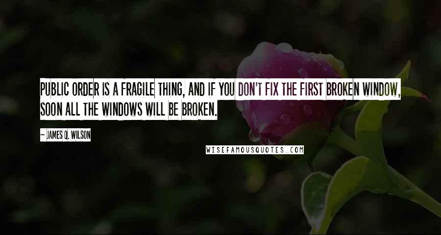 James Q. Wilson Quotes: Public order is a fragile thing, and if you don't fix the first broken window, soon all the windows will be broken.