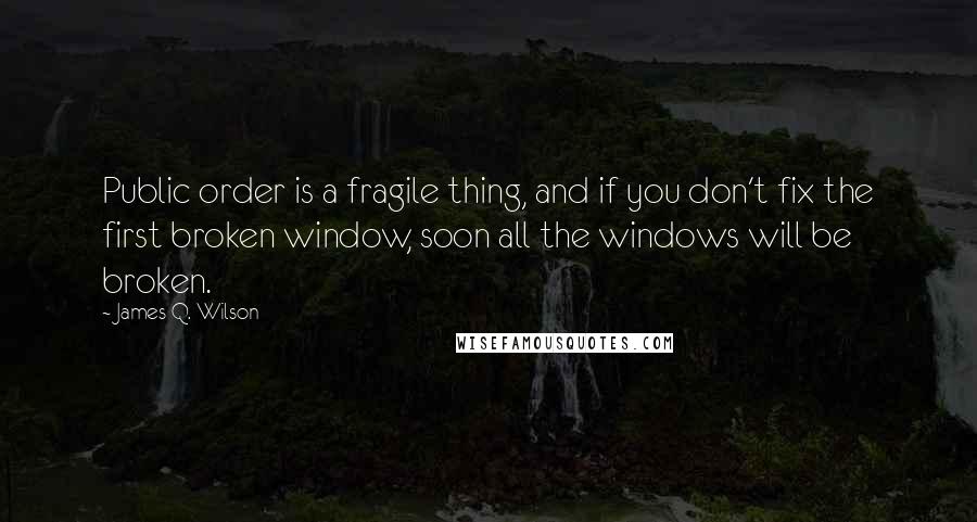 James Q. Wilson Quotes: Public order is a fragile thing, and if you don't fix the first broken window, soon all the windows will be broken.