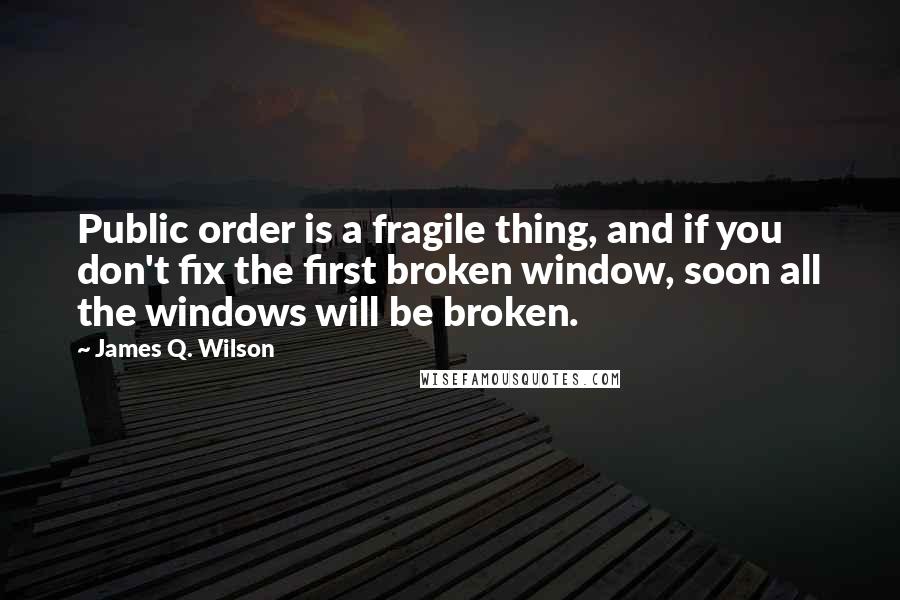 James Q. Wilson Quotes: Public order is a fragile thing, and if you don't fix the first broken window, soon all the windows will be broken.