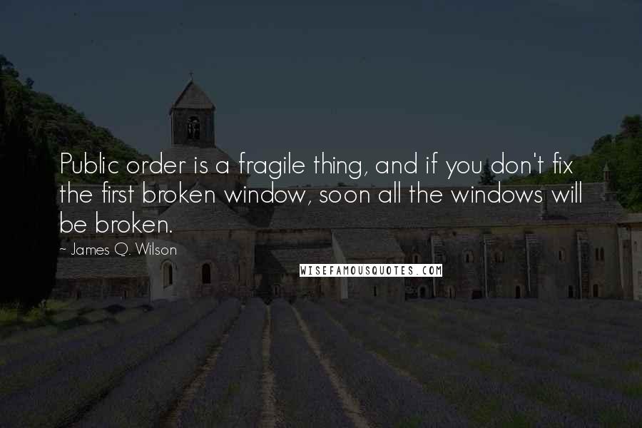 James Q. Wilson Quotes: Public order is a fragile thing, and if you don't fix the first broken window, soon all the windows will be broken.