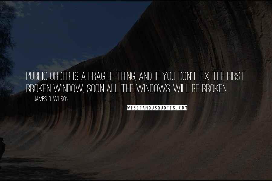 James Q. Wilson Quotes: Public order is a fragile thing, and if you don't fix the first broken window, soon all the windows will be broken.