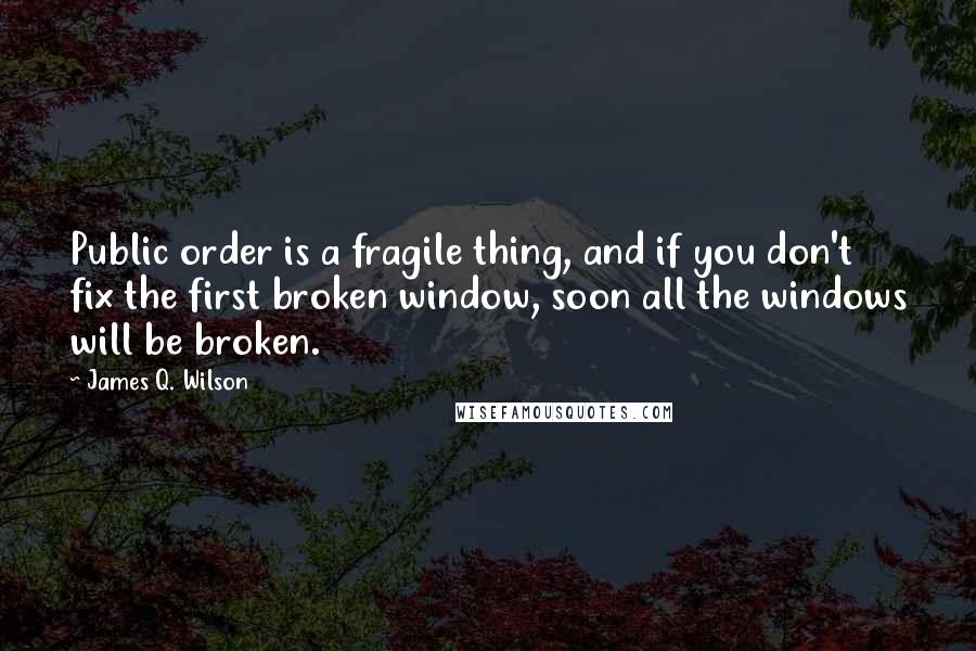 James Q. Wilson Quotes: Public order is a fragile thing, and if you don't fix the first broken window, soon all the windows will be broken.