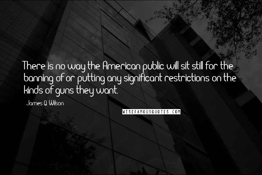 James Q. Wilson Quotes: There is no way the American public will sit still for the banning of or putting any significant restrictions on the kinds of guns they want.