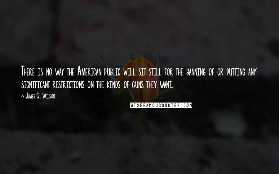 James Q. Wilson Quotes: There is no way the American public will sit still for the banning of or putting any significant restrictions on the kinds of guns they want.