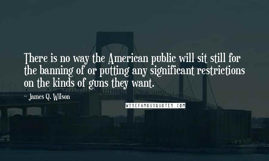 James Q. Wilson Quotes: There is no way the American public will sit still for the banning of or putting any significant restrictions on the kinds of guns they want.