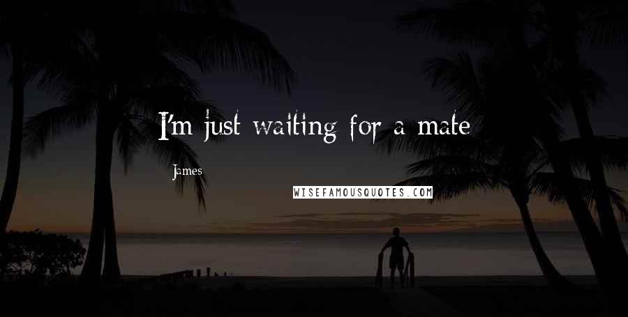 James Quotes: I'm just waiting for a mate