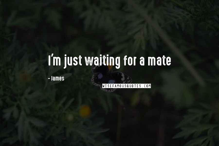 James Quotes: I'm just waiting for a mate