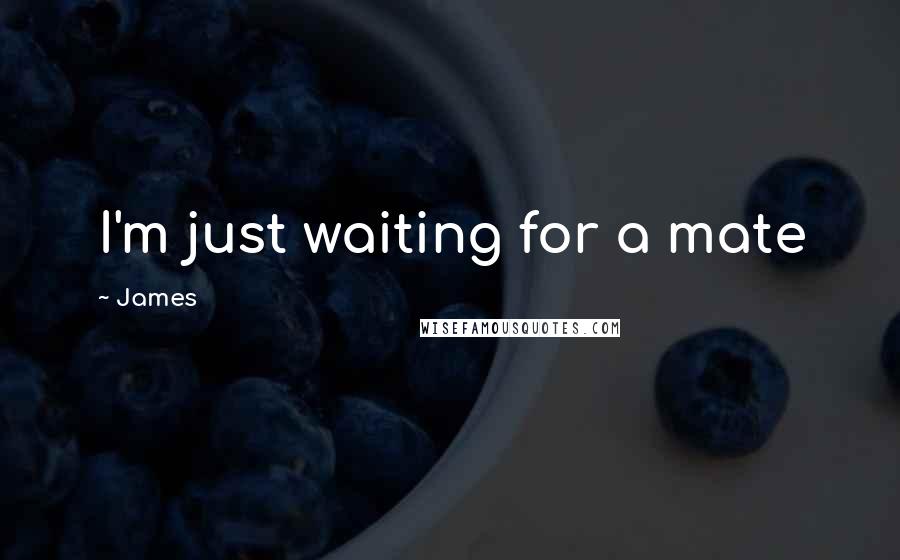 James Quotes: I'm just waiting for a mate