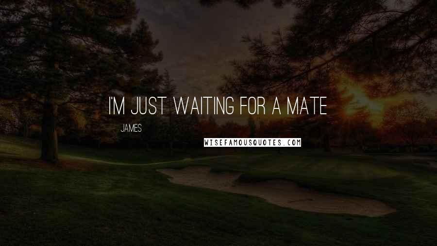 James Quotes: I'm just waiting for a mate