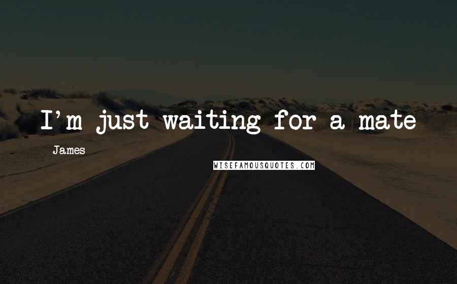 James Quotes: I'm just waiting for a mate