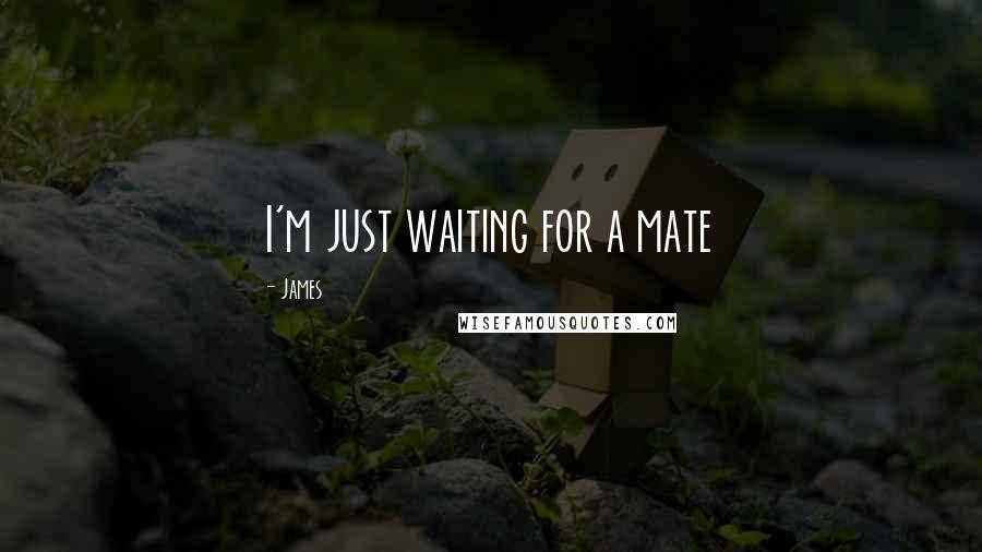 James Quotes: I'm just waiting for a mate