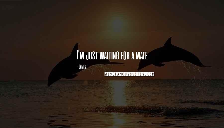 James Quotes: I'm just waiting for a mate