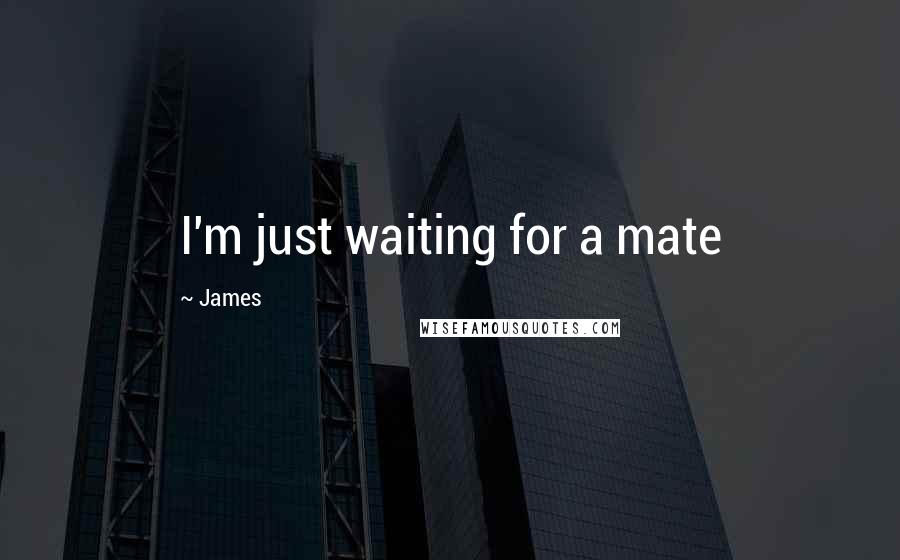 James Quotes: I'm just waiting for a mate