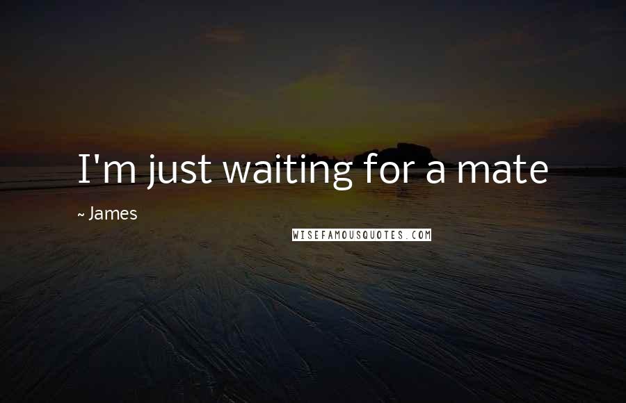 James Quotes: I'm just waiting for a mate