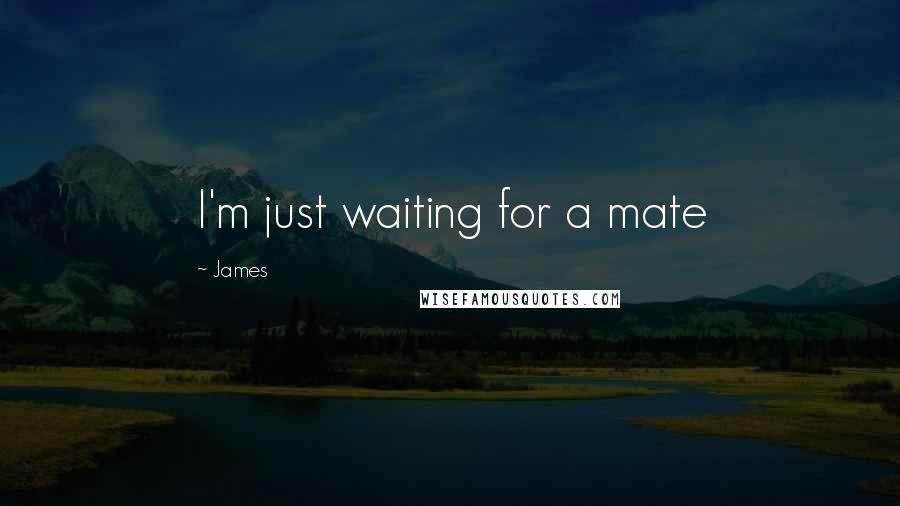 James Quotes: I'm just waiting for a mate