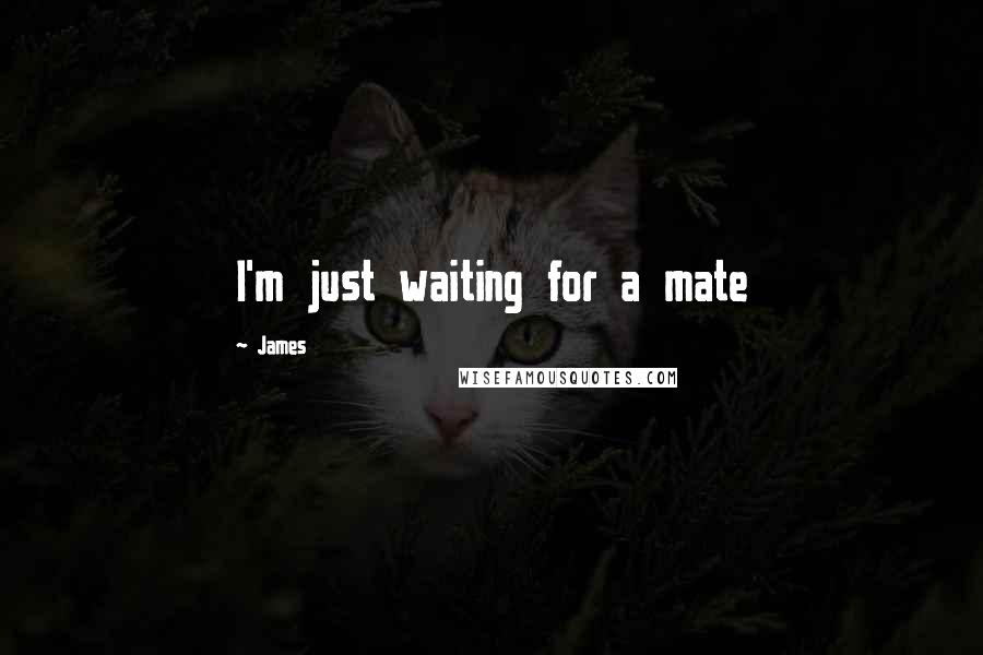 James Quotes: I'm just waiting for a mate