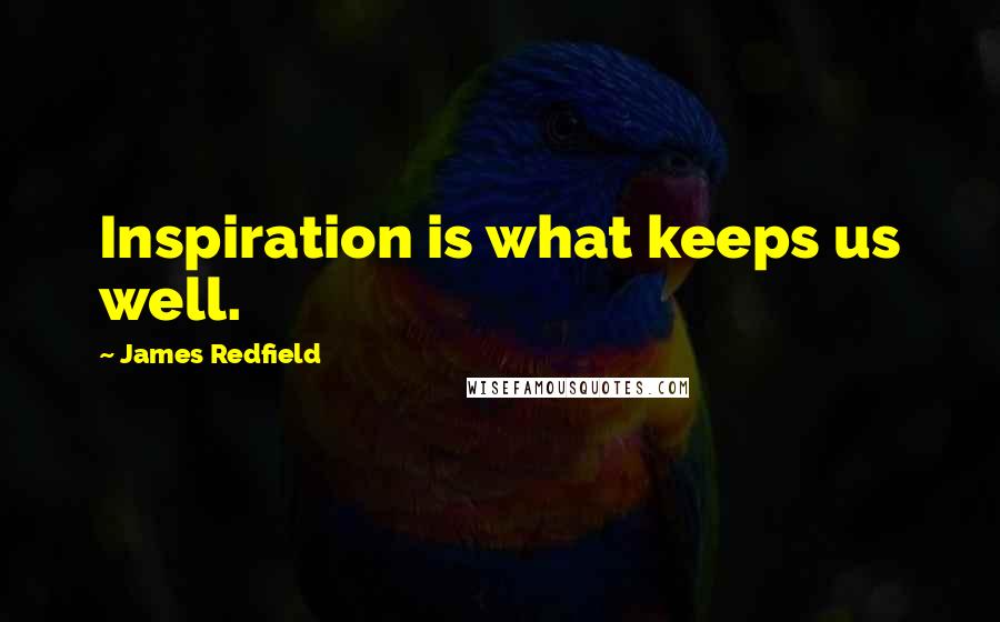James Redfield Quotes: Inspiration is what keeps us well.