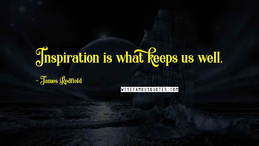 James Redfield Quotes: Inspiration is what keeps us well.