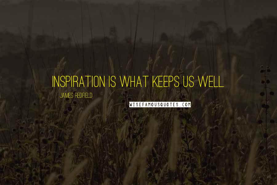 James Redfield Quotes: Inspiration is what keeps us well.
