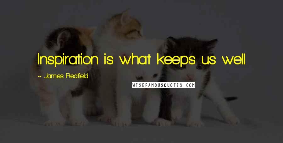 James Redfield Quotes: Inspiration is what keeps us well.