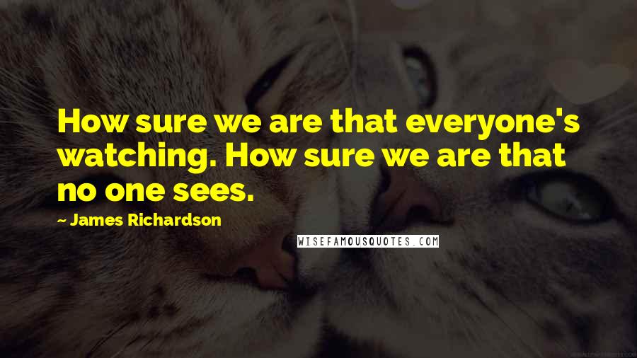 James Richardson Quotes: How sure we are that everyone's watching. How sure we are that no one sees.