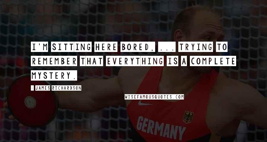 James Richardson Quotes: I'm sitting here bored, ... trying to remember that everything is a complete mystery.