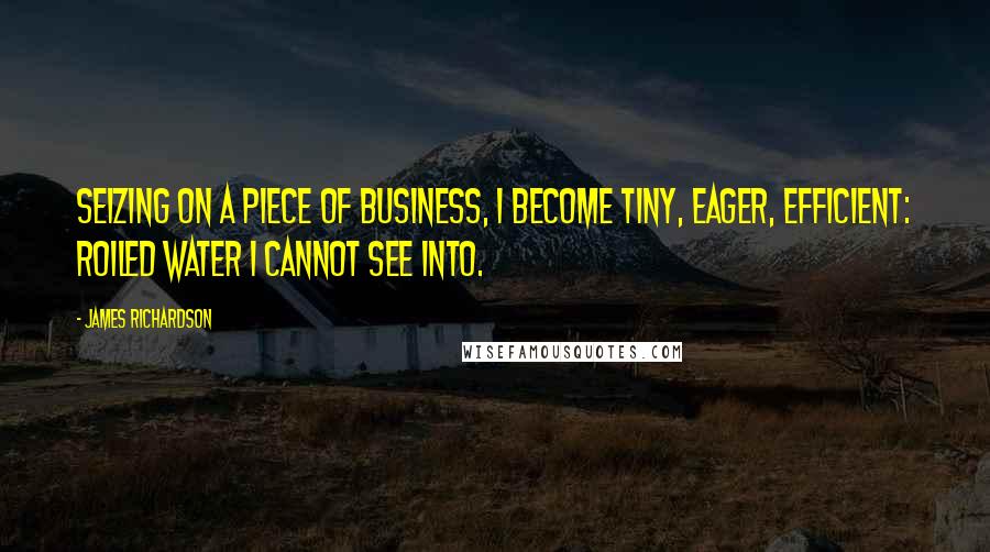 James Richardson Quotes: Seizing on a piece of business, I become tiny, eager, efficient: roiled water I cannot see into.