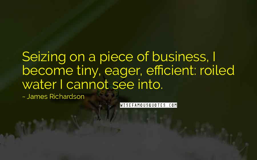 James Richardson Quotes: Seizing on a piece of business, I become tiny, eager, efficient: roiled water I cannot see into.