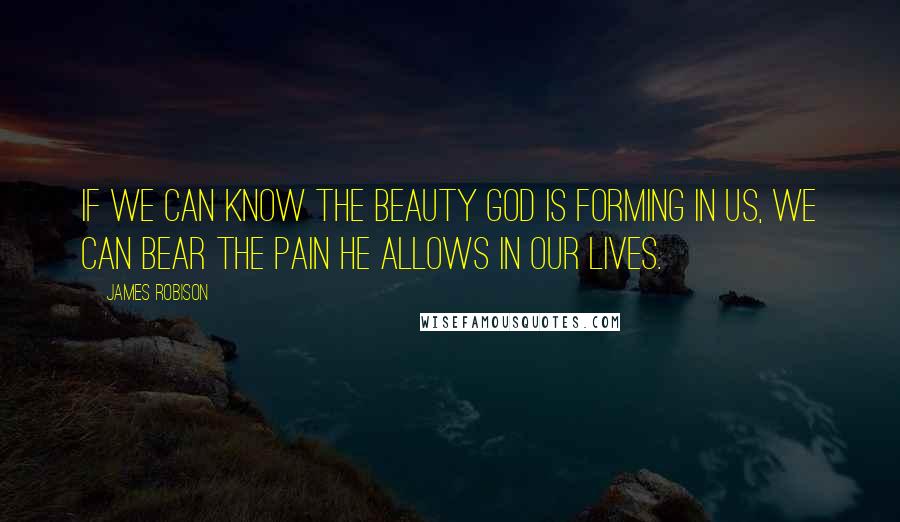 James Robison Quotes: If we can know the beauty God is forming in us, we can bear the pain He allows in our lives.