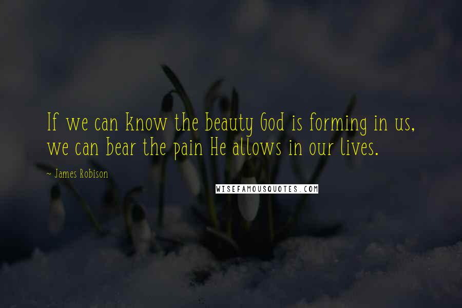 James Robison Quotes: If we can know the beauty God is forming in us, we can bear the pain He allows in our lives.