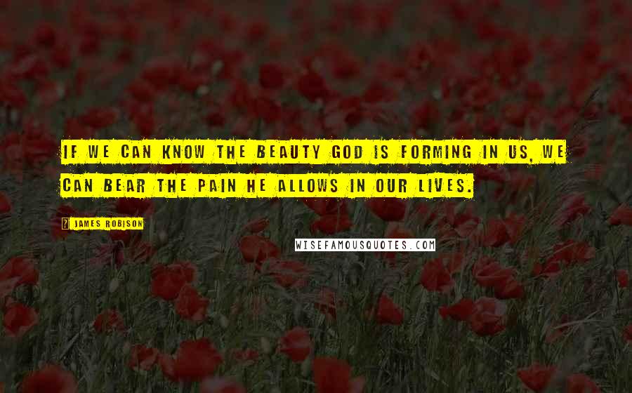 James Robison Quotes: If we can know the beauty God is forming in us, we can bear the pain He allows in our lives.