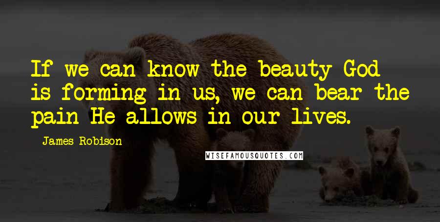 James Robison Quotes: If we can know the beauty God is forming in us, we can bear the pain He allows in our lives.