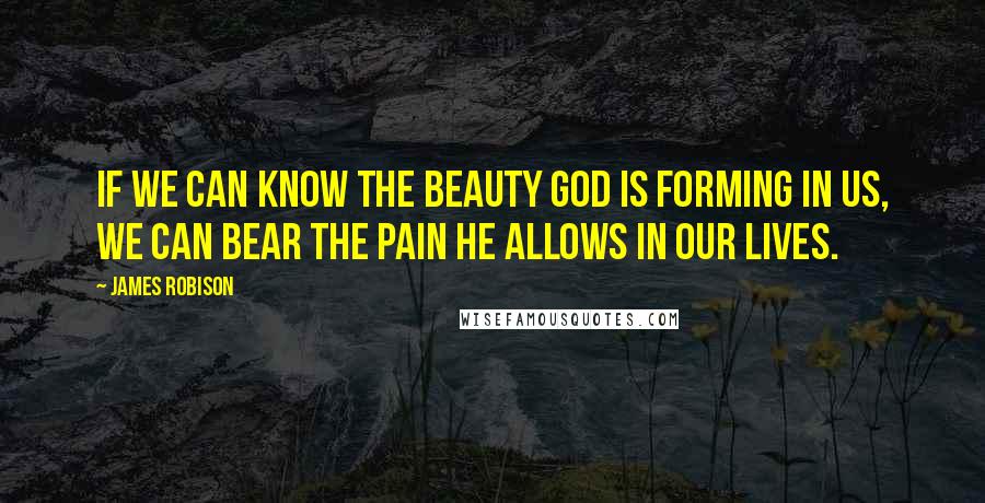 James Robison Quotes: If we can know the beauty God is forming in us, we can bear the pain He allows in our lives.