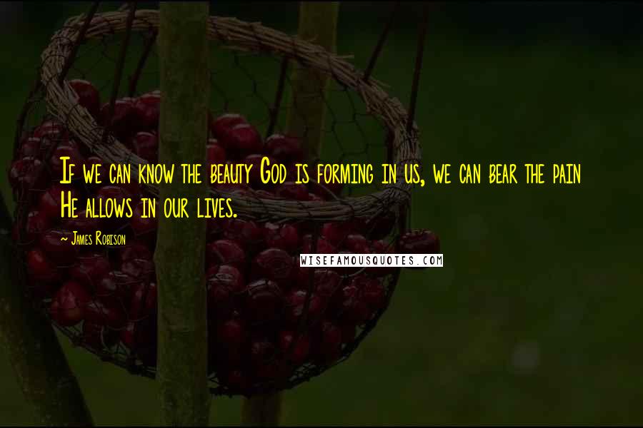 James Robison Quotes: If we can know the beauty God is forming in us, we can bear the pain He allows in our lives.